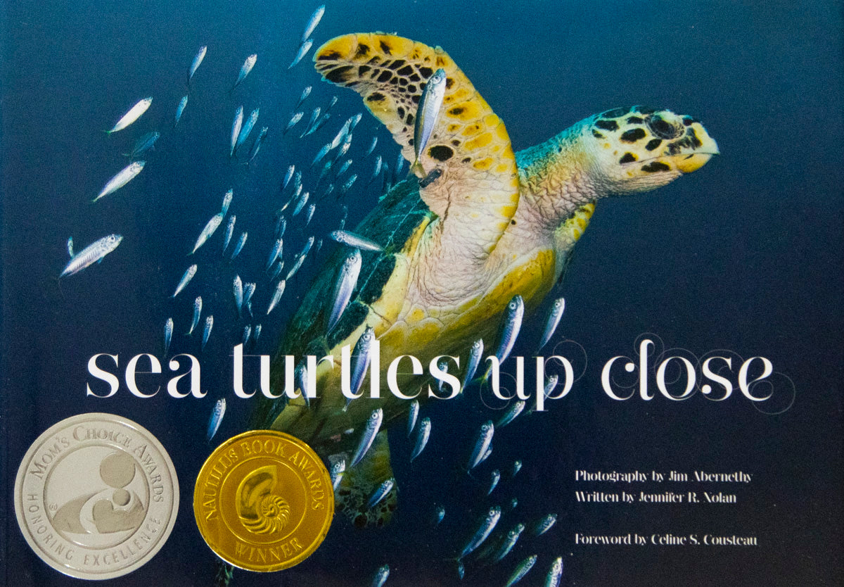 Sea Turtles Up Close - Hardcover Book - Jim Abernethy Imagery